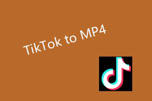 TikTok to MP4 Converter Online