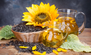 Sunflower Oil