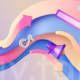 Best Platforms for Free TikTok Followers
