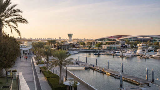 Things To Do In Abu Dhabi: The Ultimate Travel Guide