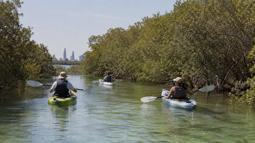 Things To Do In Abu Dhabi: The Ultimate Travel Guide