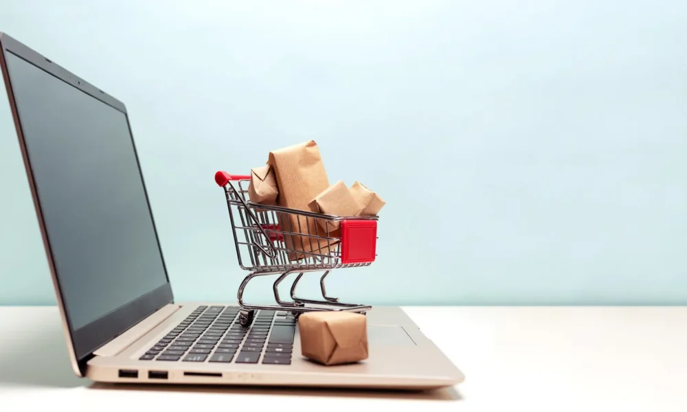 How Specialized E-Commerce Retailers Are Bringing Expert Advice Back to Online Shopping