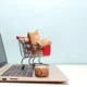 E-Commerce Retailers