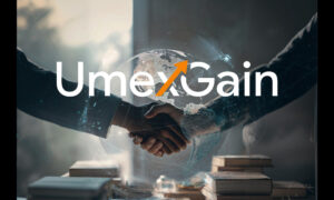 How UmexGain Helps Clients Maximise Market Potential