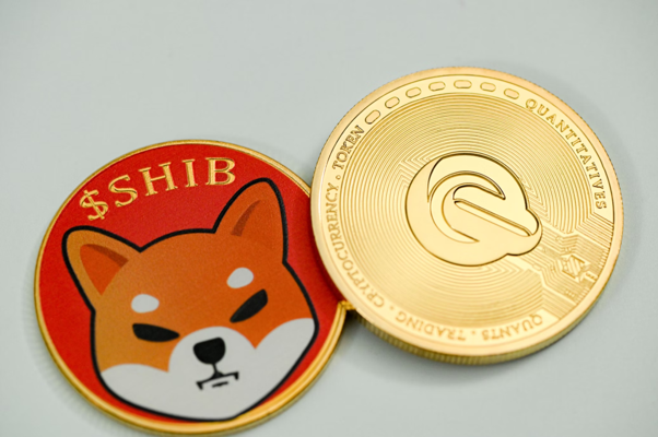 Crypto utility comparison featuring BlockDAG, Toncoin, and Shiba Inu with blockchain adoption, innovation, and real-world use cases in 2026.