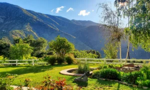 Ojai, California: California's Wellness Capital