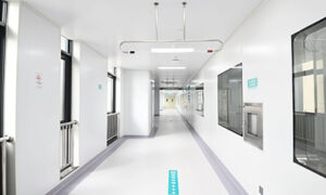 Cleanroom Sandwich Panel Manufacturers