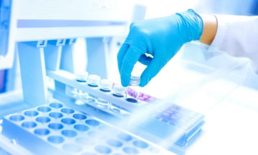 APCs in Obesity and Metabolic Disease Therapy