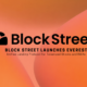 how Everest enables lending and borrowing with tokenized assets