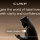 why halal portfolios are becoming the new standard of investing in the UAE 