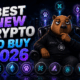 Best New Crypto to Buy 2026 - Gruntle