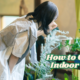 How to Care for Indoor Plants: 6 Essential Tips for Healthy Growth