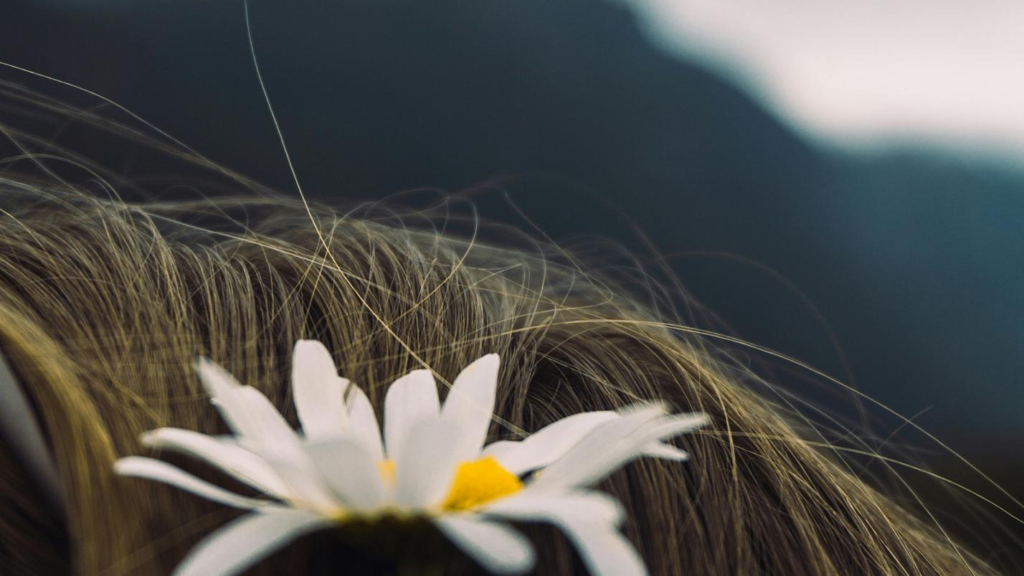 Hair Loss Treatment