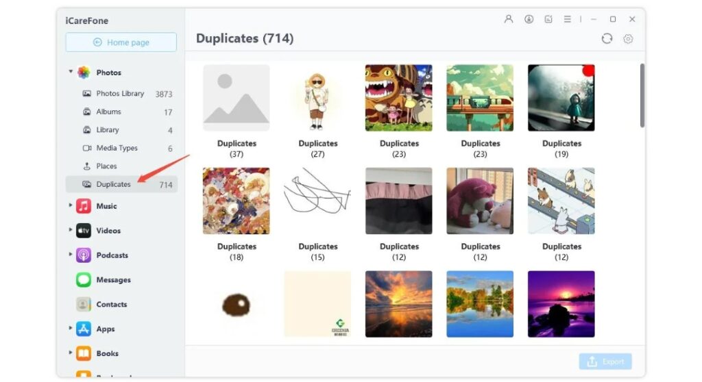 Select the duplicate files you wish to delete and press Delete