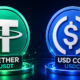 Leading Stablecoin Payment Providers