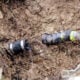Warning Signs Your Sewer Line Needs Repair