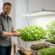 Smart LED Grow Light Brands for Modern Homes