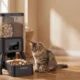 From Raw Material To Finished Pet Feeder