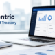 ERP-Centric Payments and Treasury
