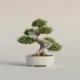 Minimalist bonsai pruned into ascending steps with subtle glowing nodes in a white pot against a soft neutral background.