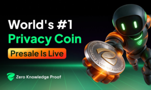 Zero Knowledge Proof