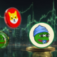 Little Pepe