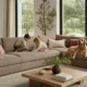 DreamSofa vs Interior
