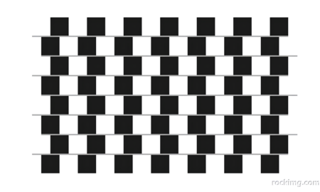 The Lies of Our Eyes: How Optical Illusions Trick Human Vision