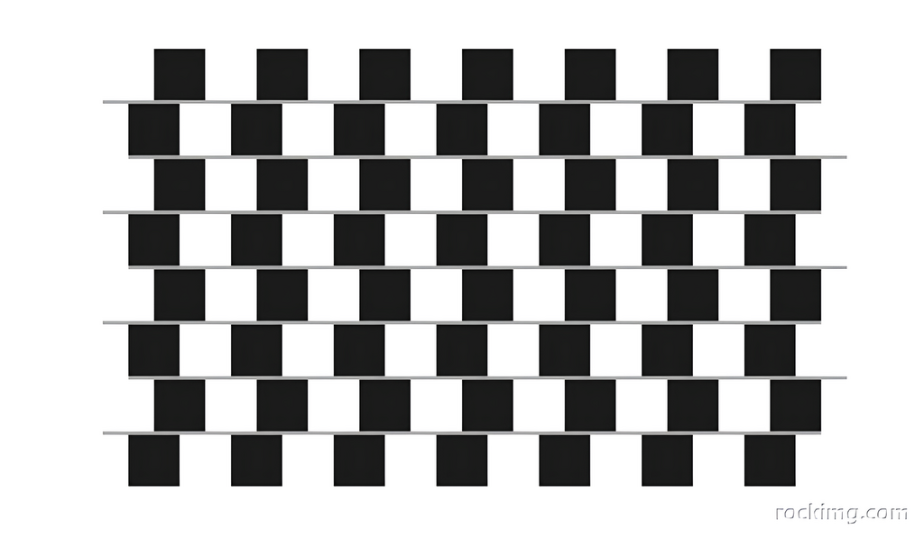 The Lies of Our Eyes: How Optical Illusions Trick Human Vision