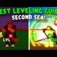 Gemini Can Create a Leveling Guide for Your Current Sea in Blox Fruits