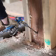 Top 5 Best Termite Control Companies in Los Angeles, CA