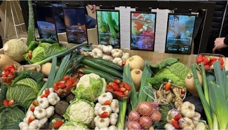 Retail Strategy