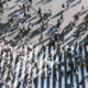AI Recognition: Emotion Detection, Age Estimation