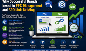 PPC Management and SEO Link Building for Brand Growth