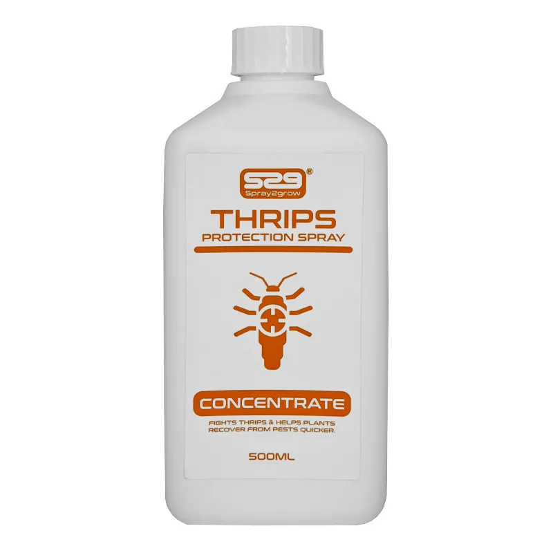 Thrips Treatment: The Complete Guide to Protecting Plants Naturally and Effectively