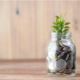 Smart Money Moves: Using Small Loans to Solve Short-Term Cash Crunches