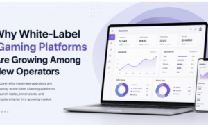 Why White-Label iGaming Platforms Are Growing Among New Operators