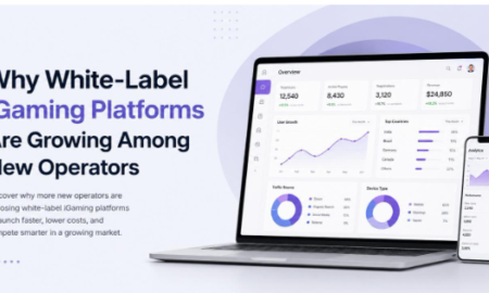 Why White-Label iGaming Platforms Are Growing Among New Operators