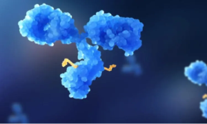 How AI and Tech Are Advancing ADC Drug Design?