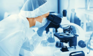 Improving Oral Bioavailability Through DMPK