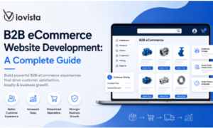 B2B eCommerce Website Development: A Complete Guide