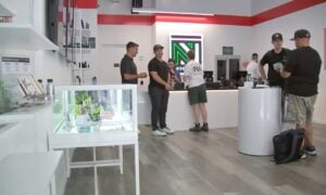 Best Dispensary in Manhattan, New York