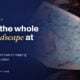 TechBullion featured card: Charting the whole fintech landscape at once