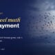 TechBullion featured card: The flywheel math behind payment giants