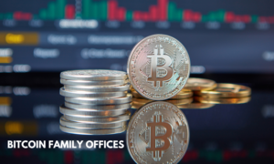 Family offices, responsible for managing generational wealth, typically prioritize capital preservation, risk-adjusted returns, and long-term stability.