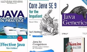 Best Java Books