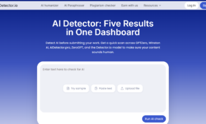 AI content verification tools