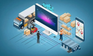 Automated Warehouse Logistics