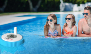 Real-Time Water Temperature Monitoring