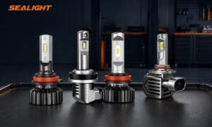 H11 Headlight Bulb Buying Guide: How to Choose the Right H11 LED Bulb